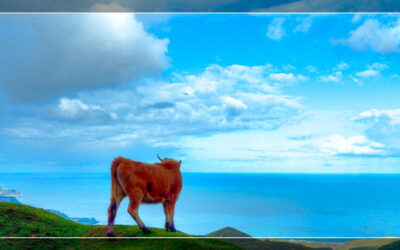 Mirando a Lastres desde el Fitu